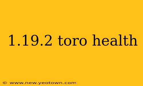 1.19.2 toro health