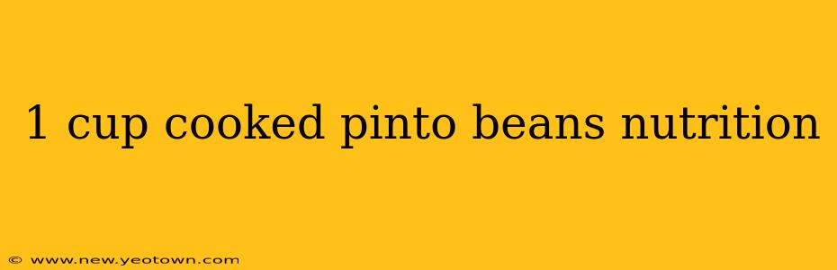 1 cup cooked pinto beans nutrition