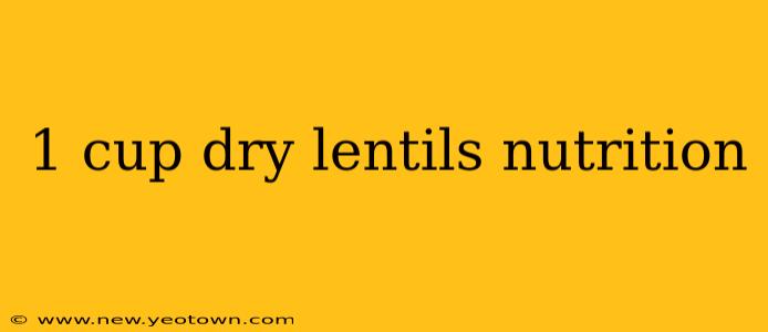 1 cup dry lentils nutrition