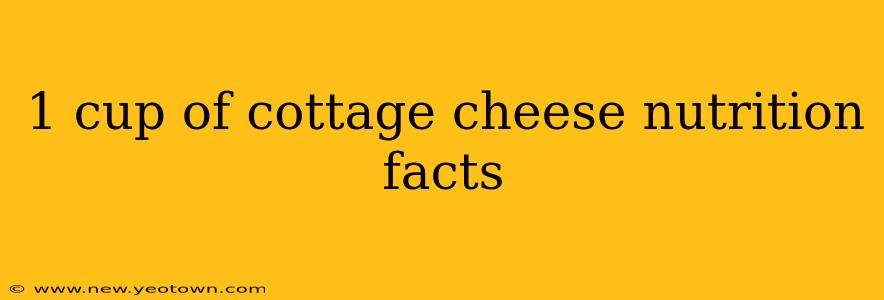 1 cup of cottage cheese nutrition facts