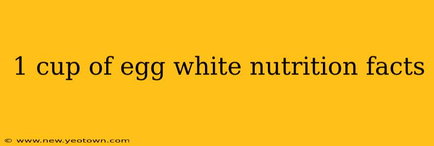 1 cup of egg white nutrition facts