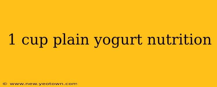 1 cup plain yogurt nutrition