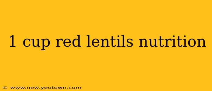 1 cup red lentils nutrition