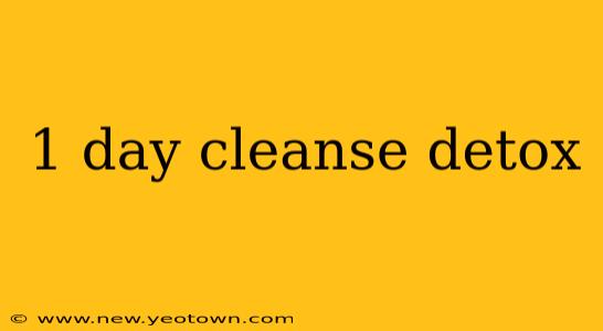 1 day cleanse detox