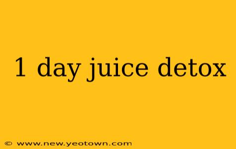 1 day juice detox