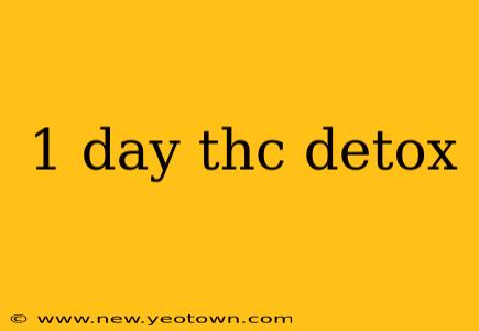 1 day thc detox