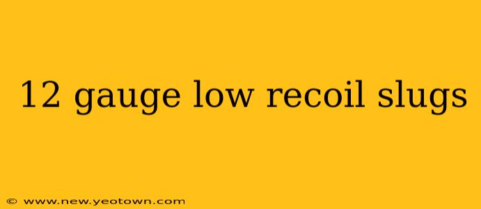 12 gauge low recoil slugs