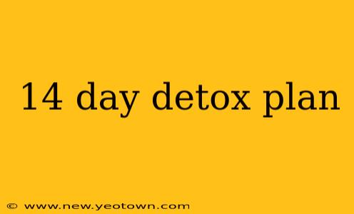 14 day detox plan