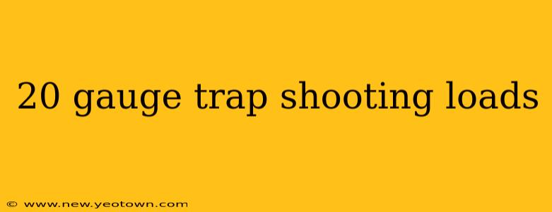 20 gauge trap shooting loads