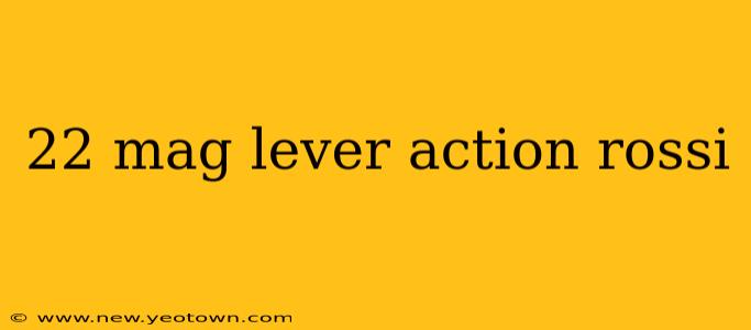 22 mag lever action rossi
