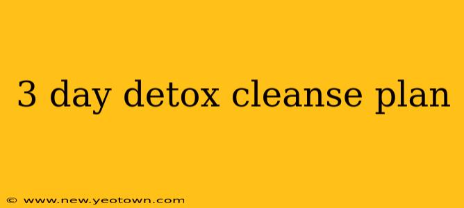 3 day detox cleanse plan