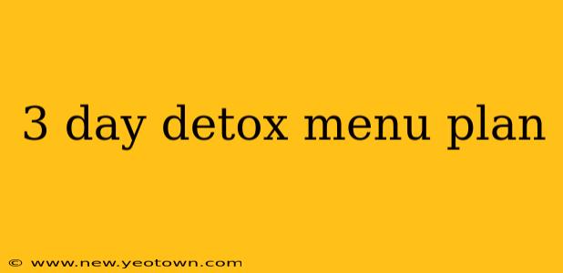 3 day detox menu plan