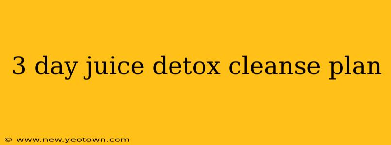 3 day juice detox cleanse plan