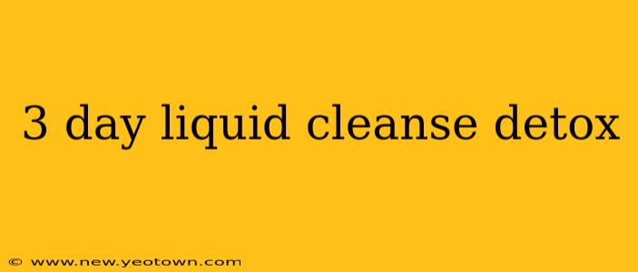 3 day liquid cleanse detox
