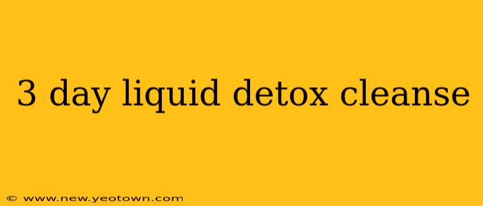 3 day liquid detox cleanse