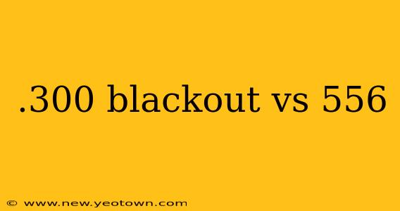 .300 blackout vs 556