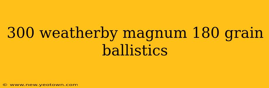 300 weatherby magnum 180 grain ballistics