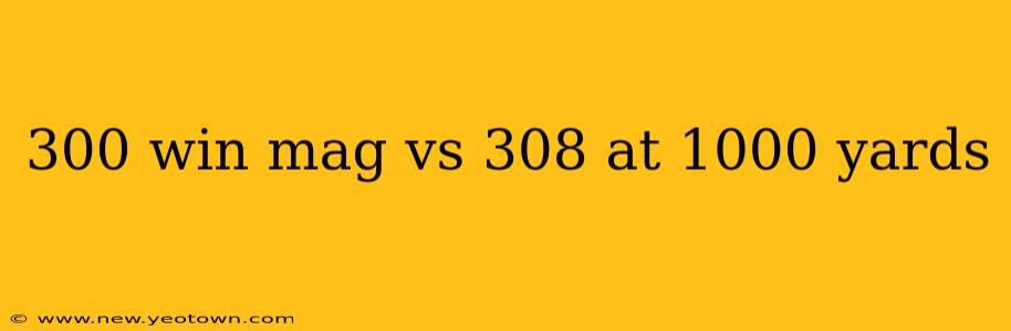 300 win mag vs 308 at 1000 yards