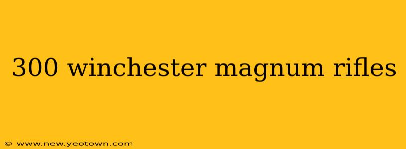 300 winchester magnum rifles