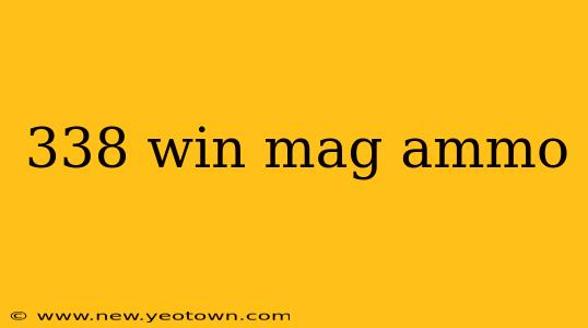 338 win mag ammo