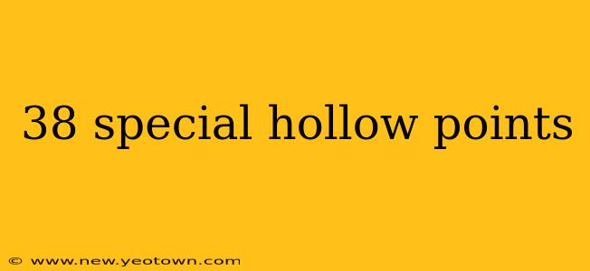 38 special hollow points