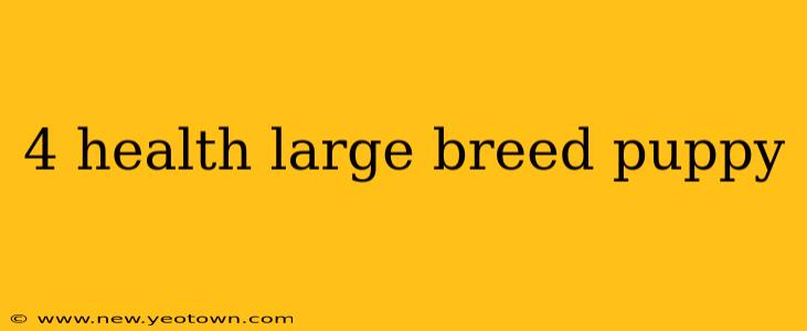 4 health large breed puppy