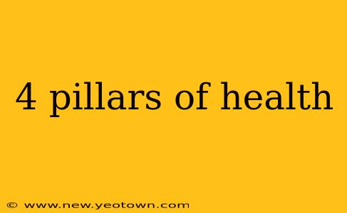 4 pillars of health