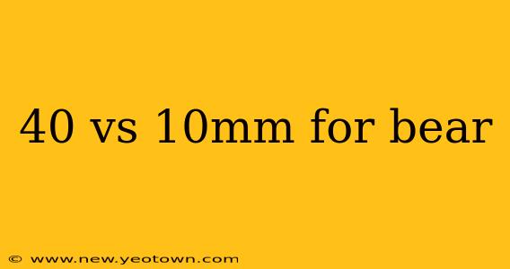 40 vs 10mm for bear