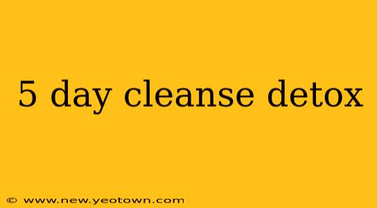 5 day cleanse detox