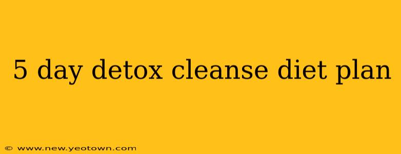 5 day detox cleanse diet plan