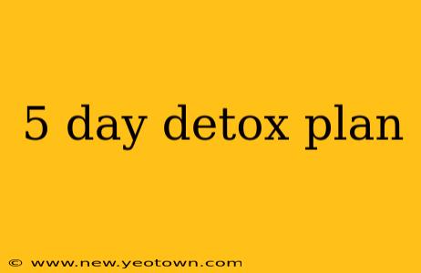 5 day detox plan