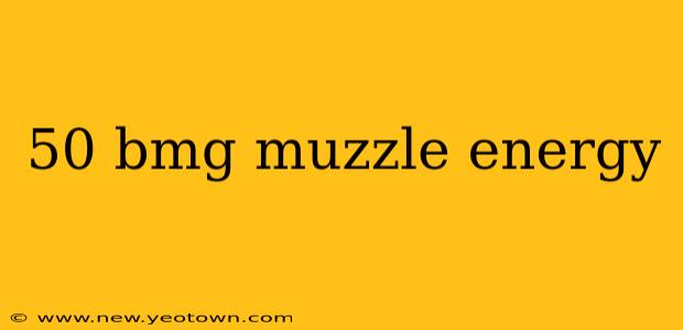 50 bmg muzzle energy