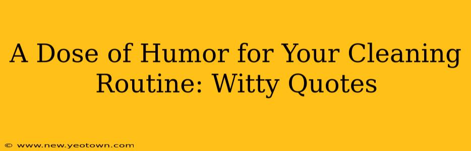 A Dose of Humor for Your Cleaning Routine: Witty Quotes