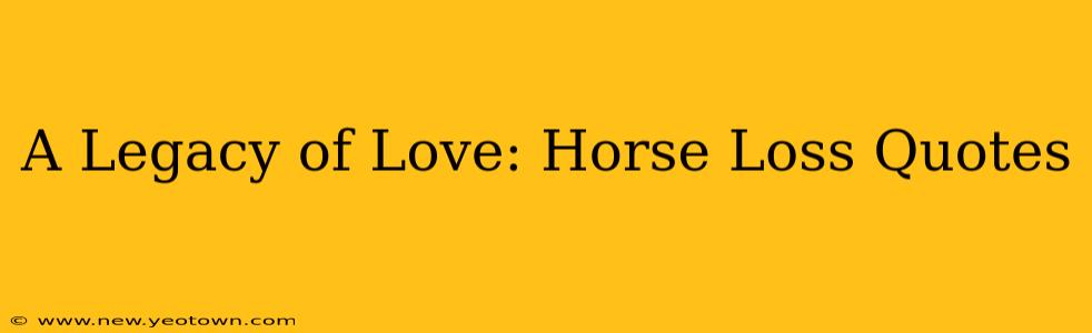 A Legacy of Love: Horse Loss Quotes