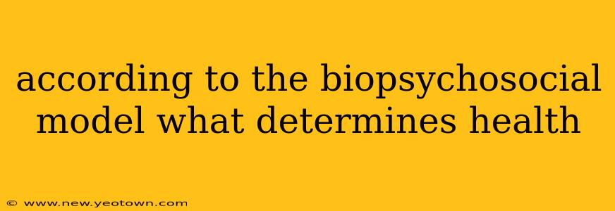 according to the biopsychosocial model what determines health