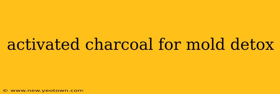 activated charcoal for mold detox