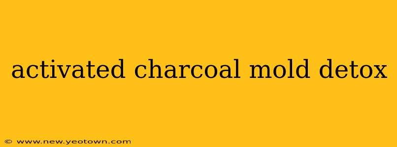 activated charcoal mold detox