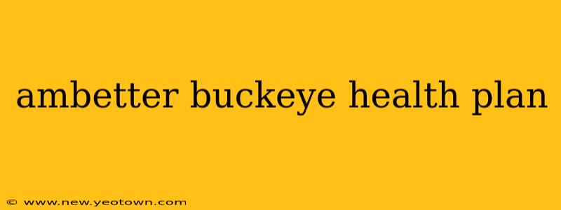ambetter buckeye health plan