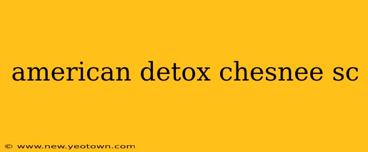 american detox chesnee sc