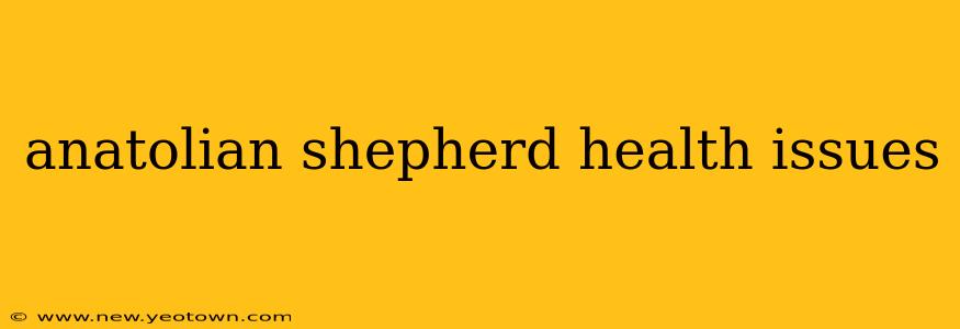 anatolian shepherd health issues