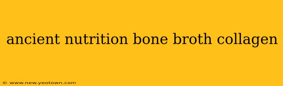 ancient nutrition bone broth collagen