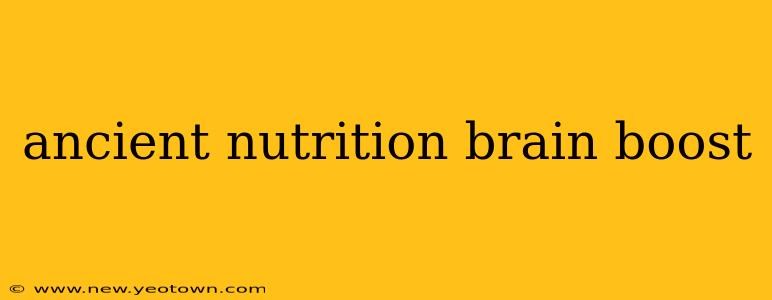 ancient nutrition brain boost