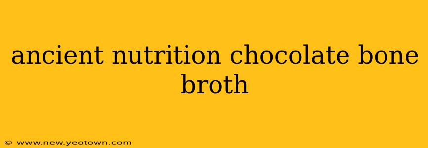 ancient nutrition chocolate bone broth