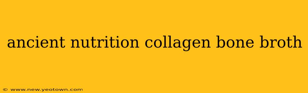 ancient nutrition collagen bone broth