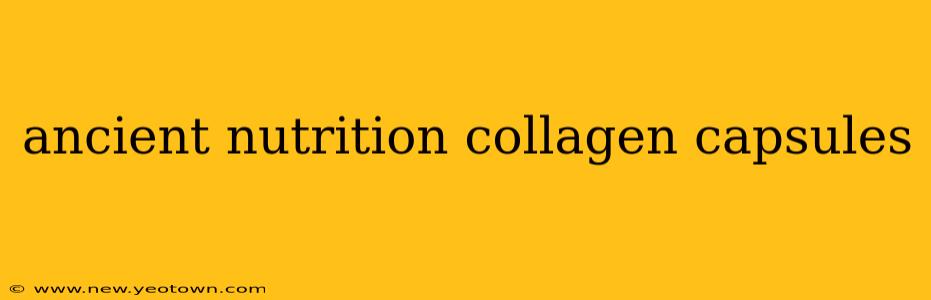 ancient nutrition collagen capsules