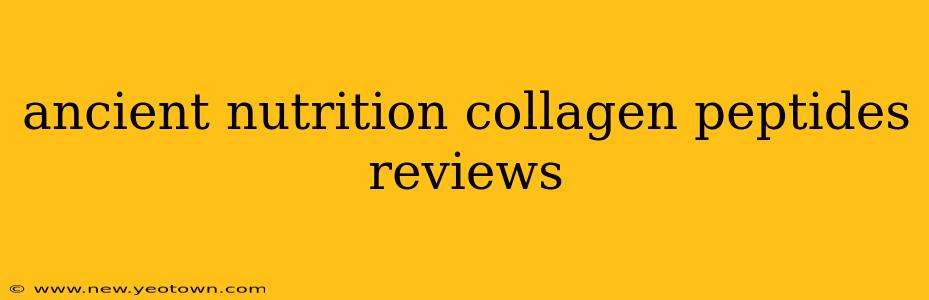 ancient nutrition collagen peptides reviews