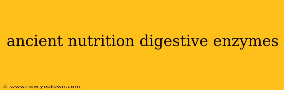 ancient nutrition digestive enzymes