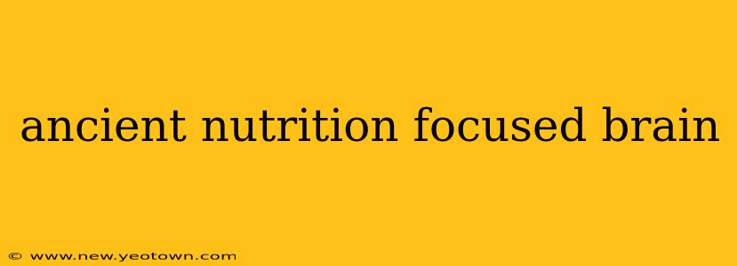 ancient nutrition focused brain