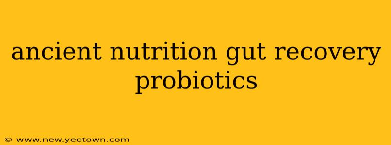 ancient nutrition gut recovery probiotics