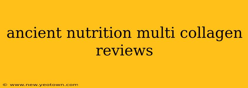 ancient nutrition multi collagen reviews